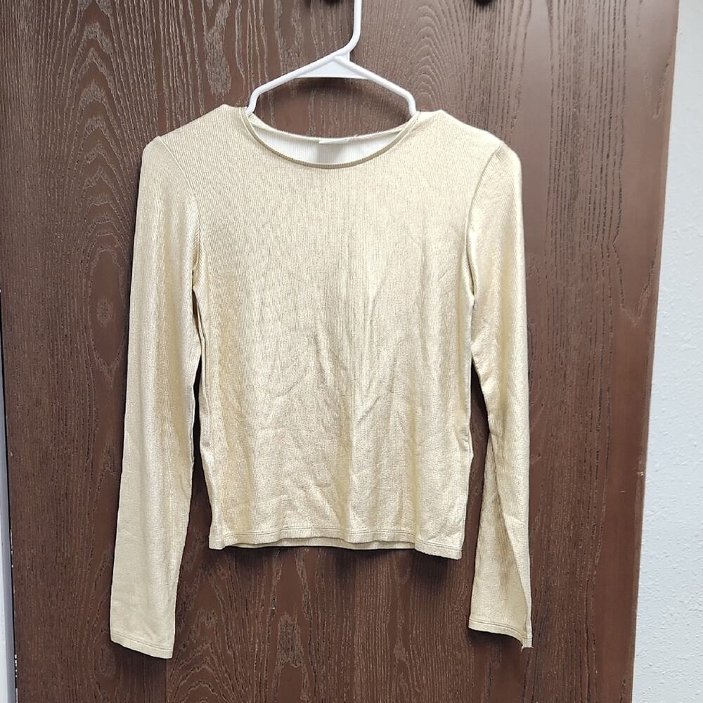 Zara Shimmering Gold Long Sleeve Top
